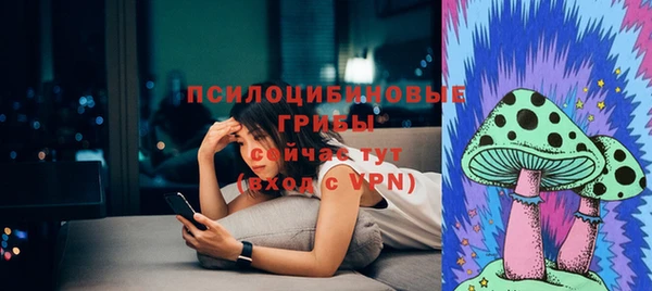 соль ск Корсаков